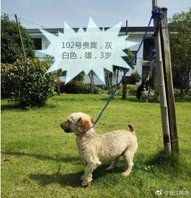 英语老师乖乖晚下裙子