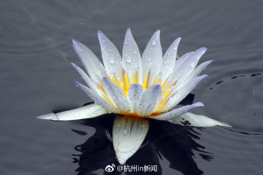 六十岁老熟妇淫乱视频
