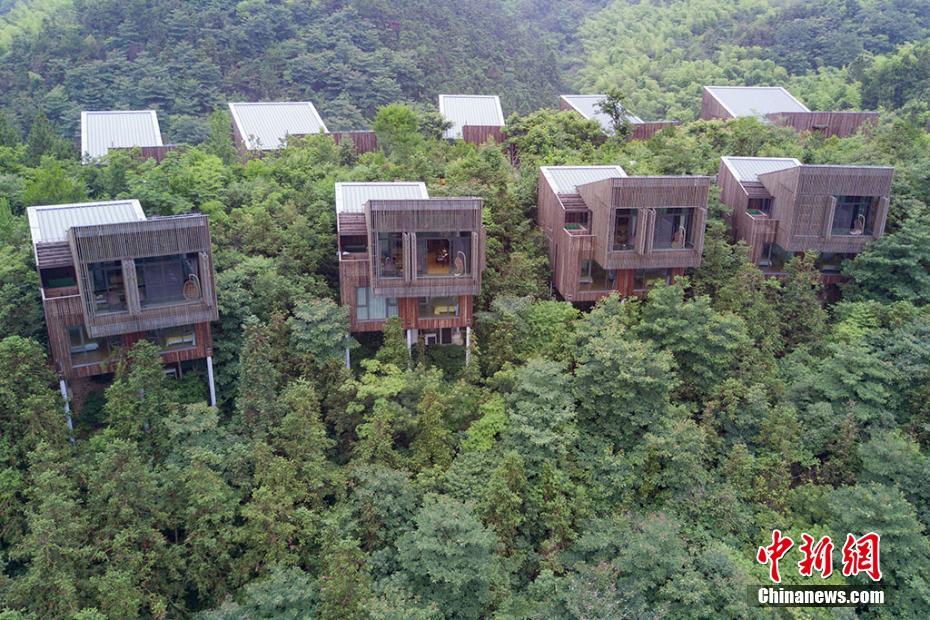 香港三级激情视频