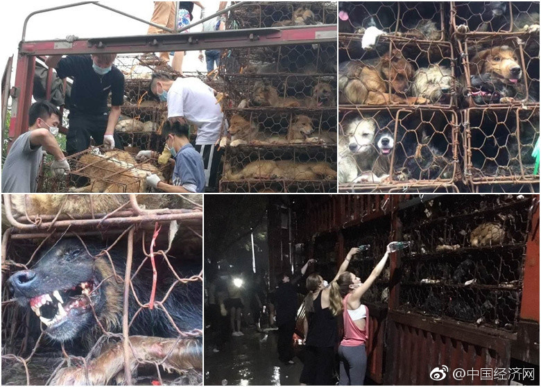 欧美特级黄片，