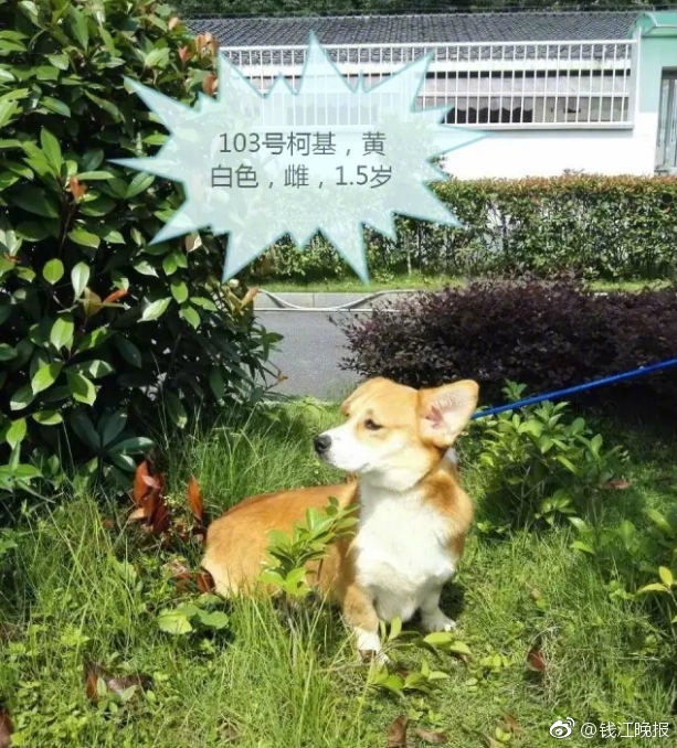 我丰满的岳 50岁