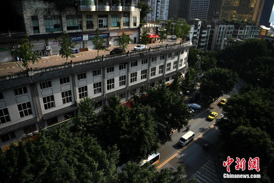 若林美保