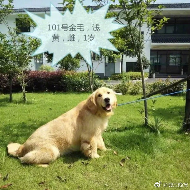 日韩天堂