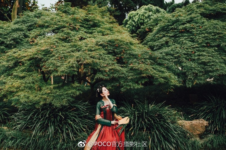动漫无码H