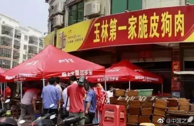 荷兰大白肥屁股BBBBBB