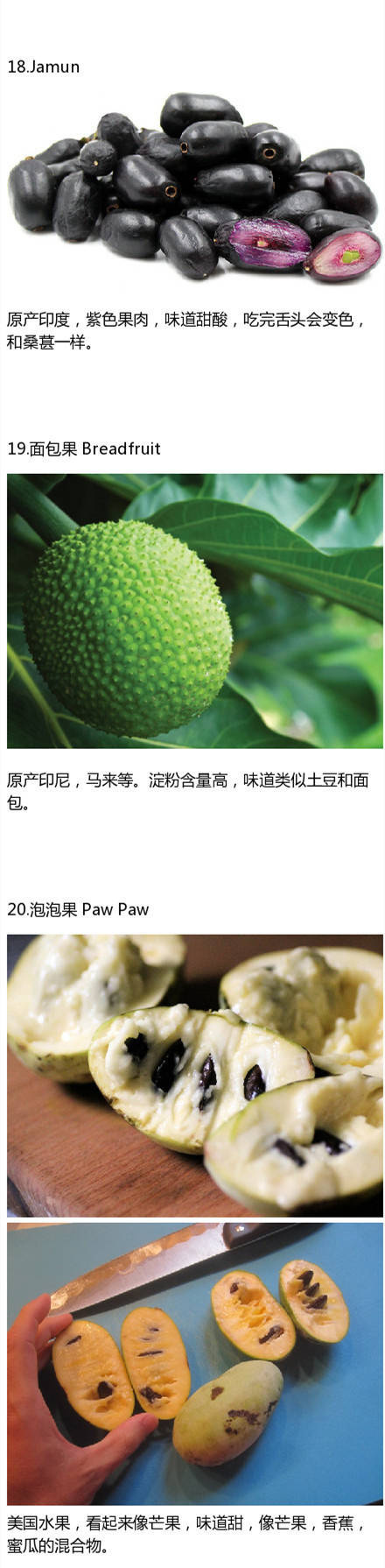 美国一级黄片中文字幕