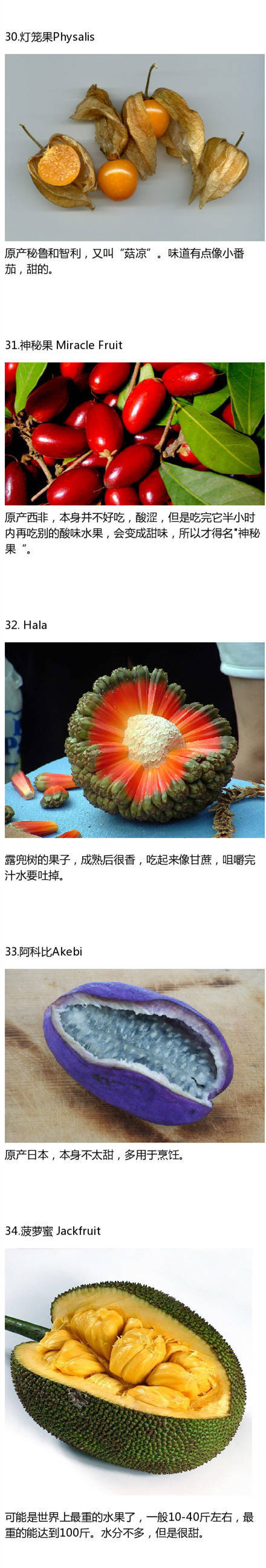 中国巨乳口交