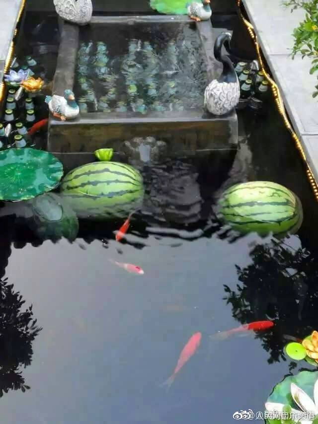 日本高清   精品