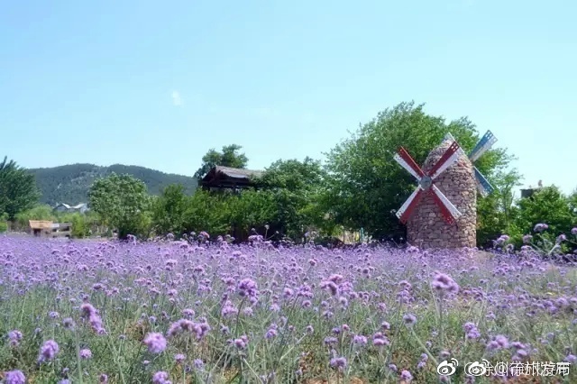 Free偷Xxxxⅹ欧美Hd