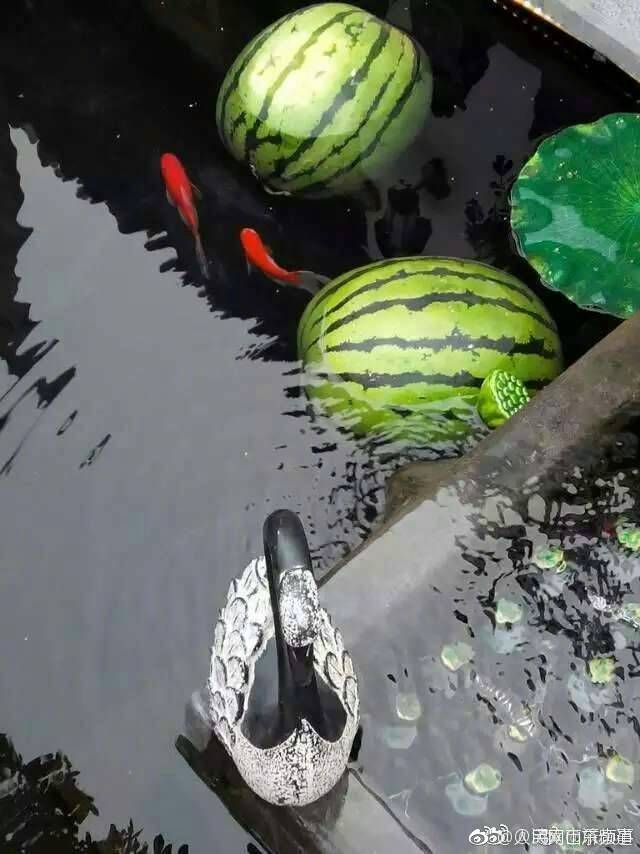 国内老熟妇对白XXXXHD