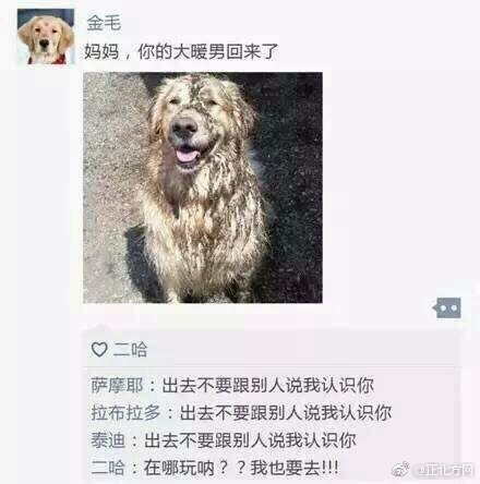 豌豆直播