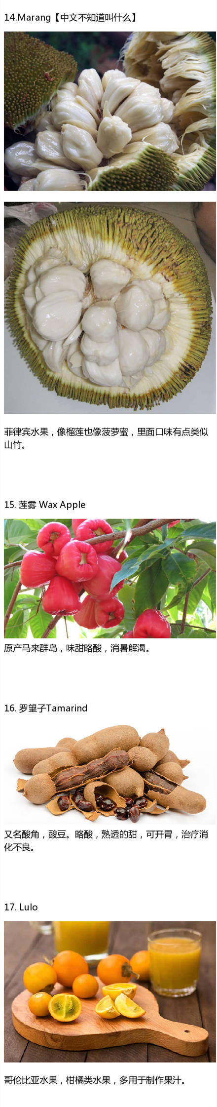 中山琴葉