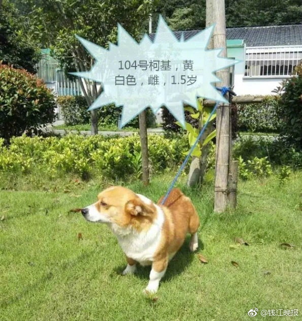 婷婷色天天艹