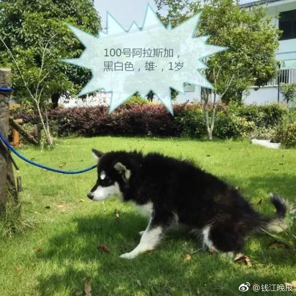 夸克看电影免费