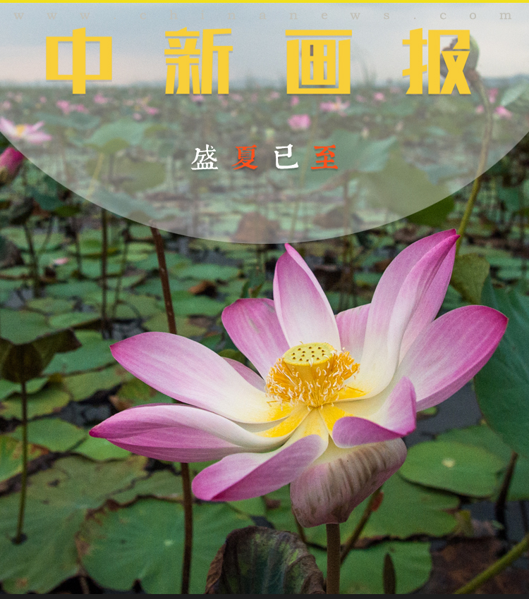 武则天一级婬A片