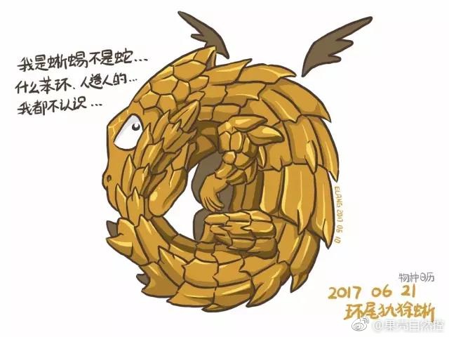 欧美性折磨重口味视频Xxxx