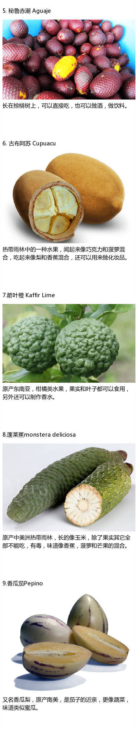 河北麻友子