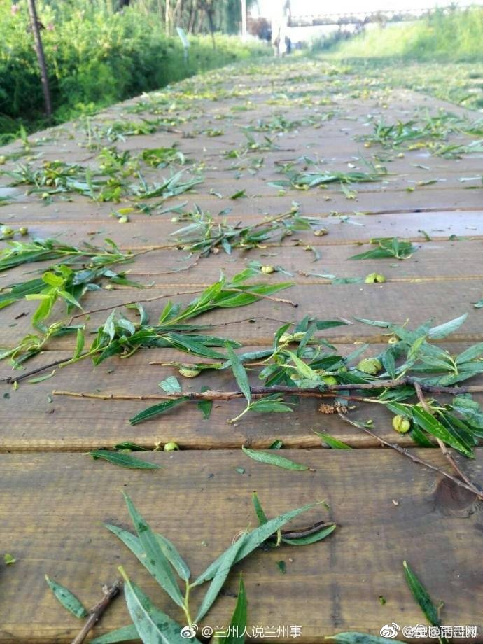 亚洲18 在线天美传媒