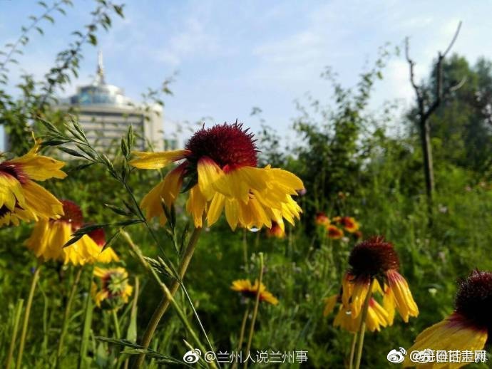 色情 电影 免费 观看