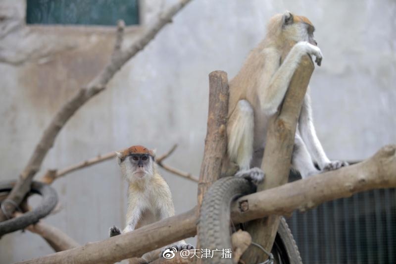 歐陽娜娜