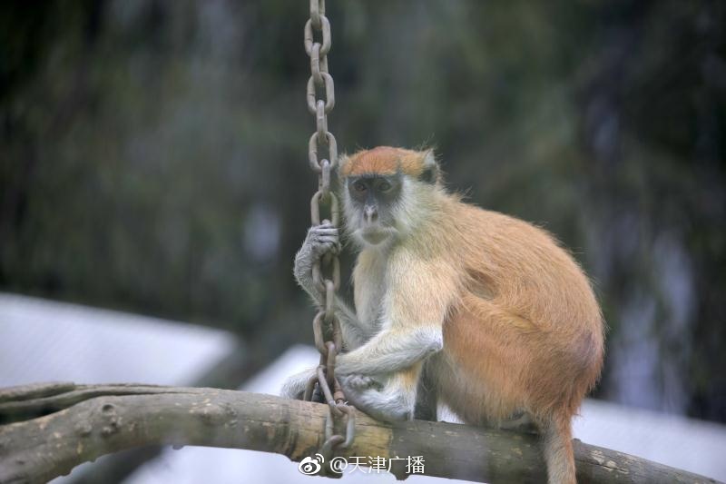 潘金莲一夜被爽了八次