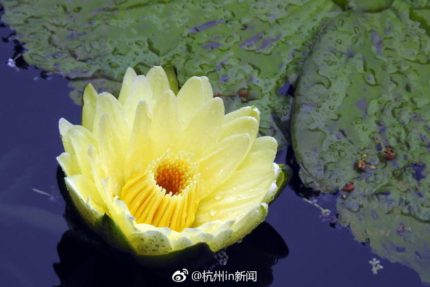 体育生18cm自慰多次出精