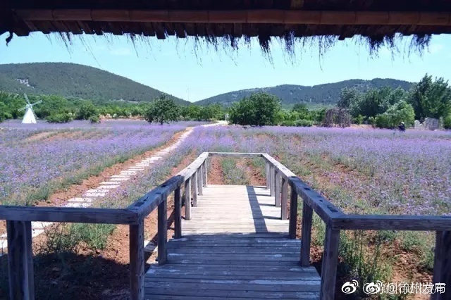 黃色A片三級三級三級免费看三爱