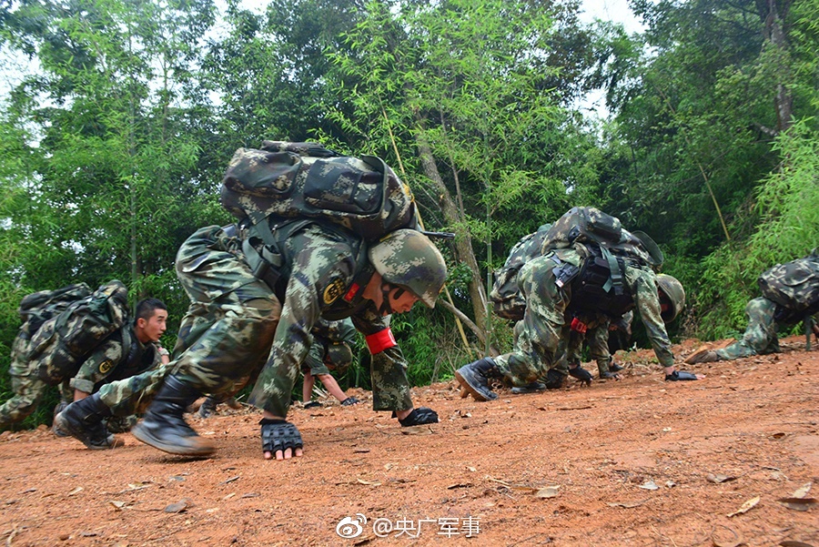 免费的毛片