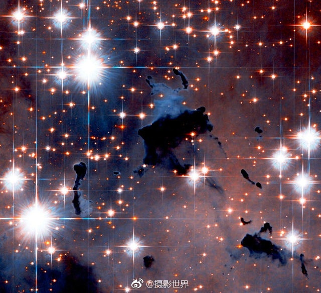 夜月app直播下载免费版下载