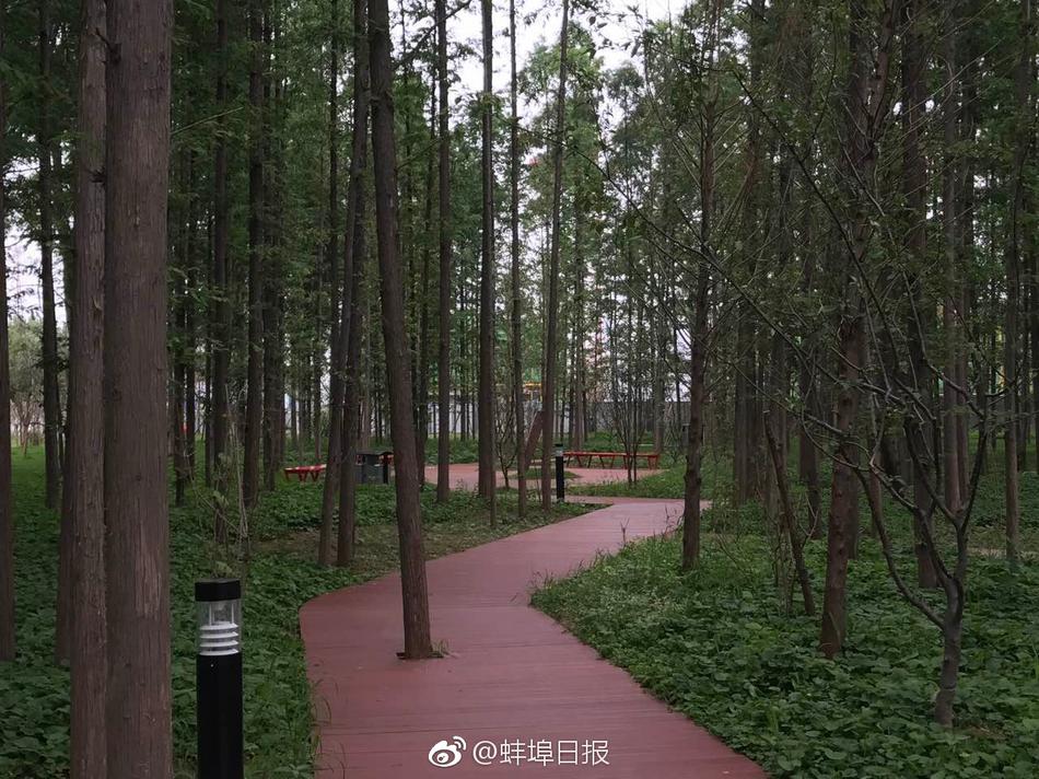 日本欧美六十路三级缴情一