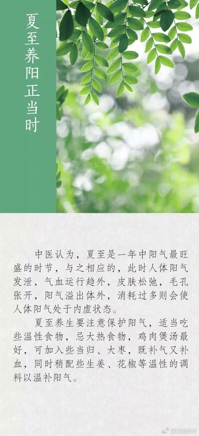 多 乙女 神