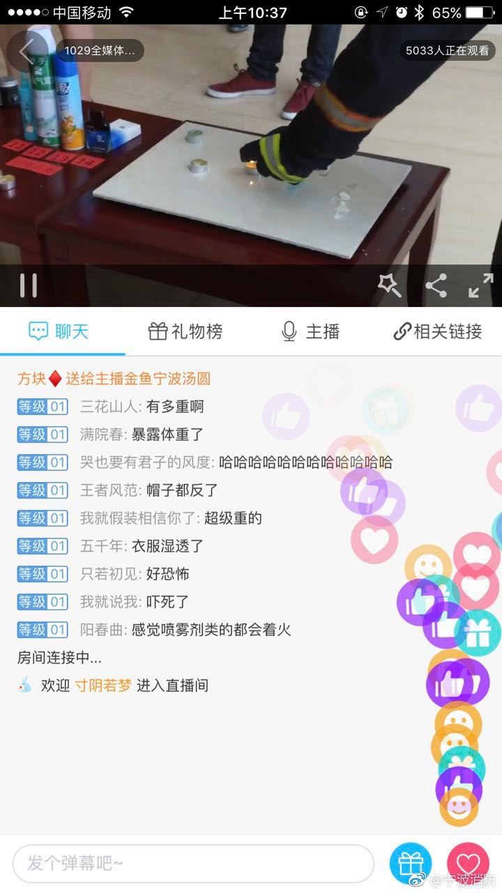 让我欣赏一下你的小森林
