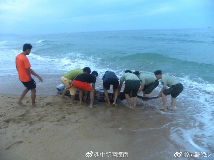 在线 成人 影院