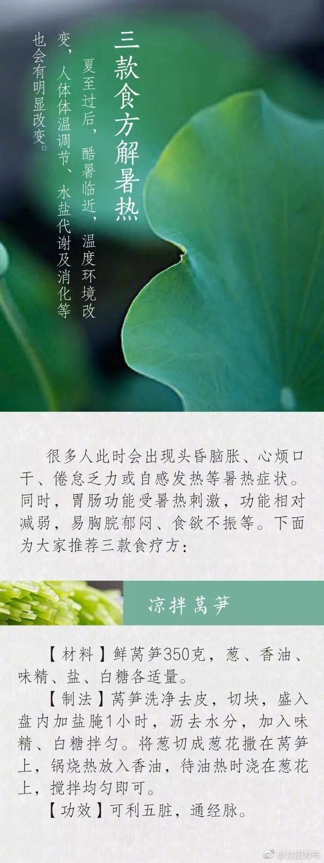 韩国 成人 电影 在线 观看