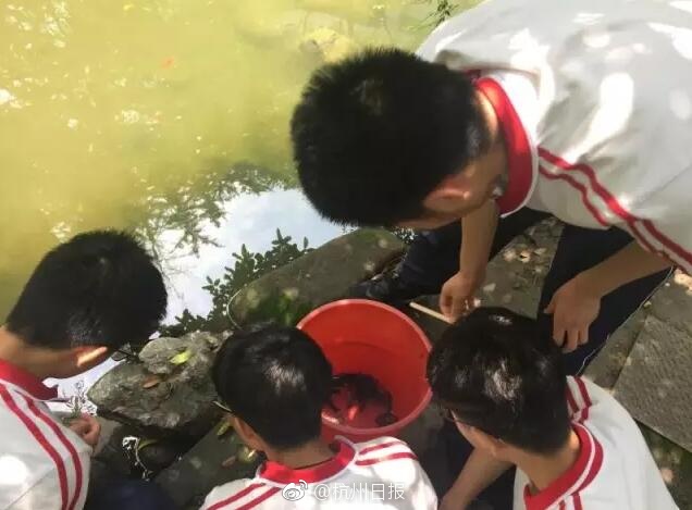 日本不卡在线