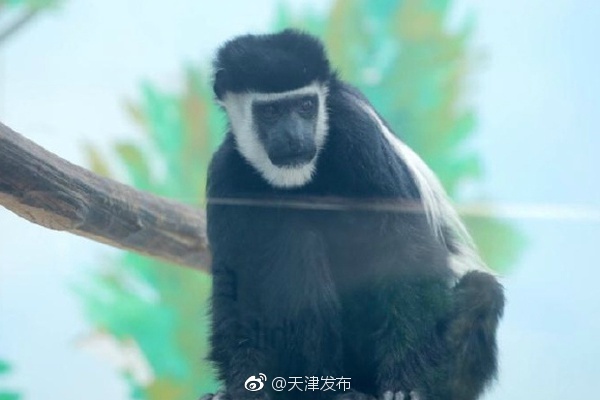韩国伦理电影免费在线观看视频