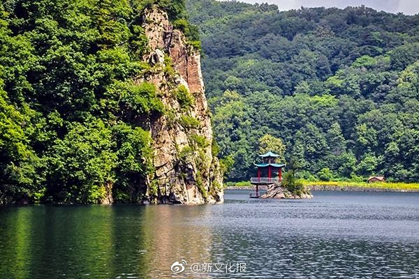 成人直播APP下载免费蜜桃视频