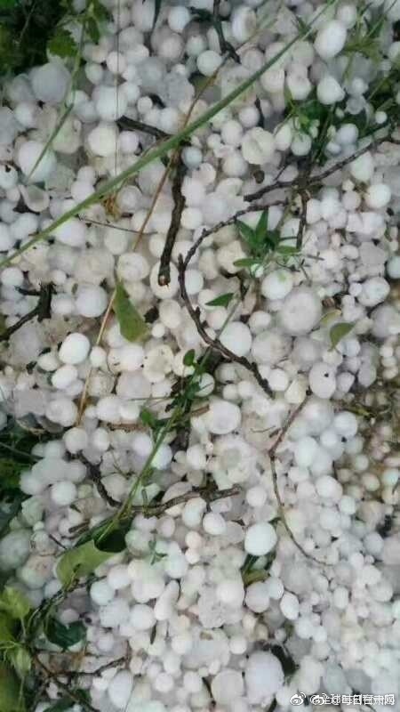 雷电将军被 吸乳羞羞小时