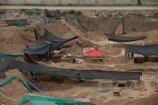 蝌蚪窝在线
