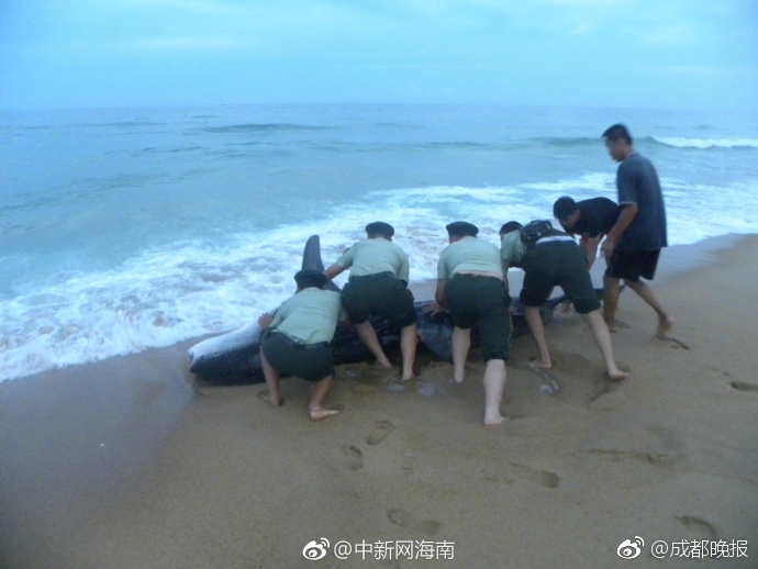 欧美美女喷水图