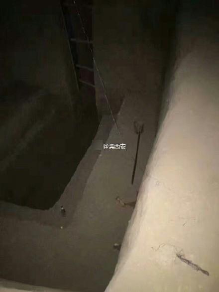表情害羞