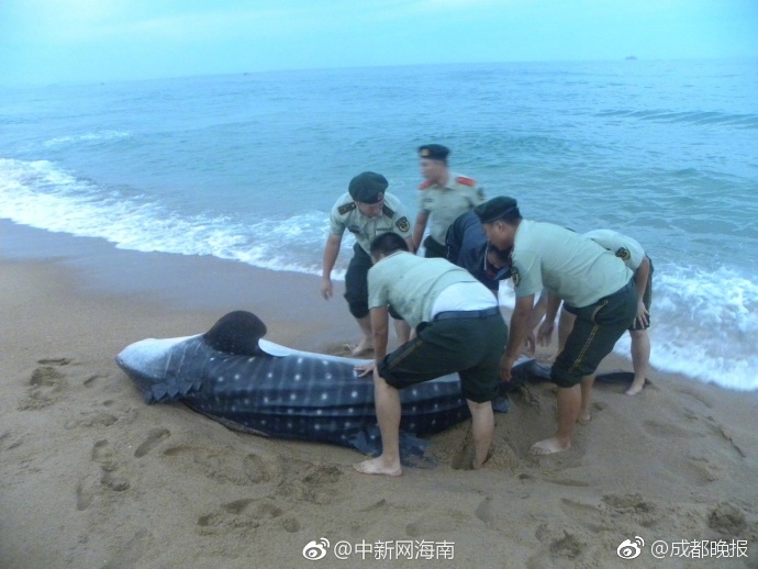 友田真希十部必看经典电影有哪些