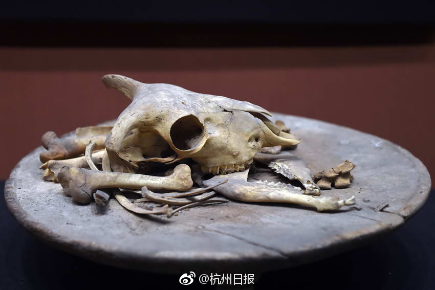 老板脱我内裤随时做