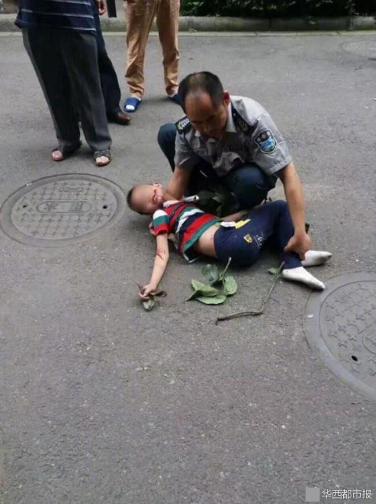 麻豆秘 在线观看国产