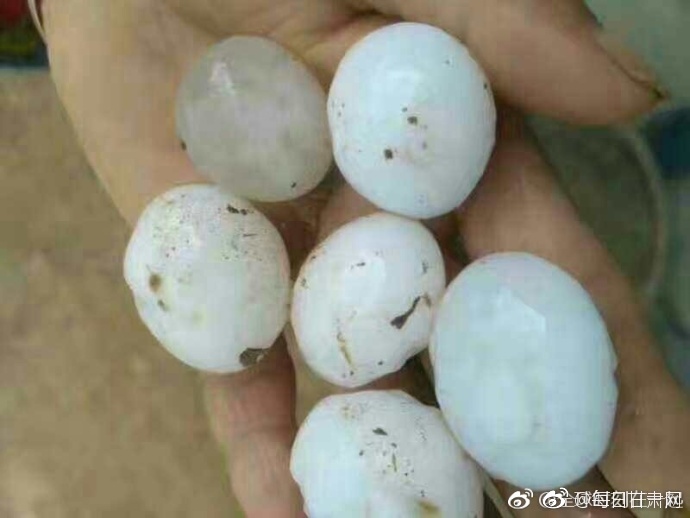 暗黑爆料在线观看免费高清
