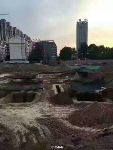 啪啪视频
