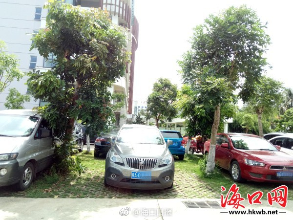 好 色 先 生APP