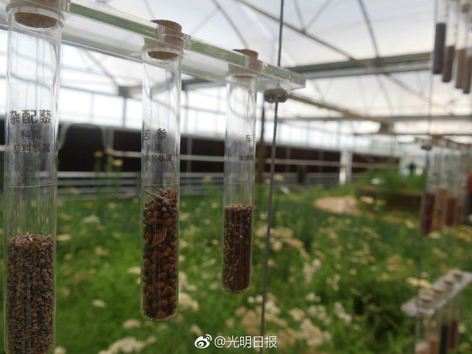 国产黄色三级片