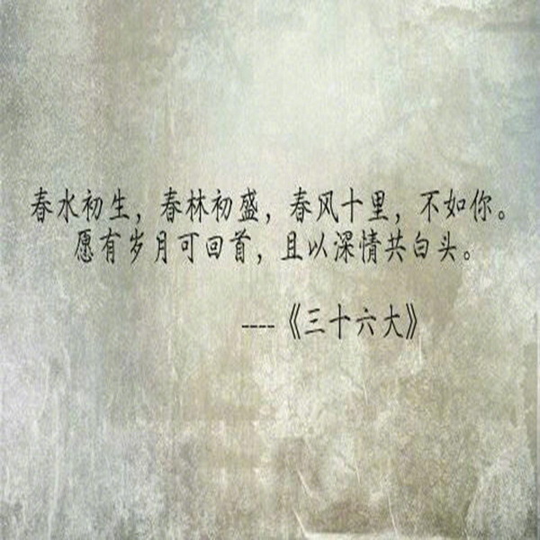 欧美恋夜免费一区