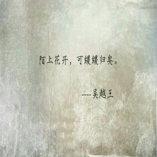 欧美丰满多毛少妇Xxxxx